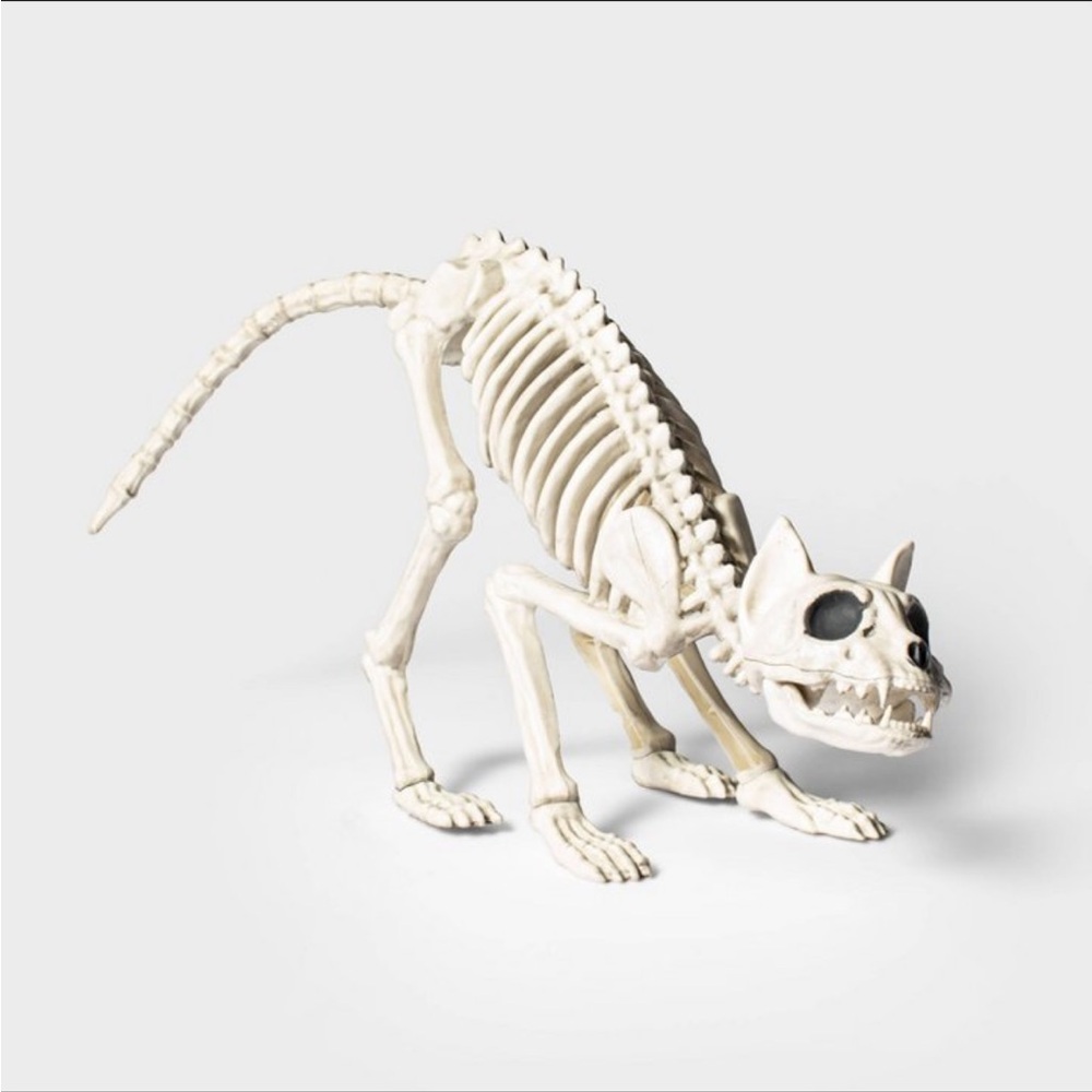 Target 13" Cat Skeleton Halloween Decorative Prop - Hyde & EEK!